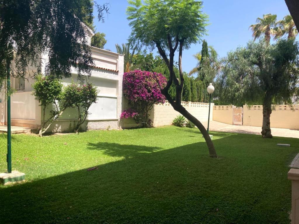Apartamento Con Piscina Y Parking El Campello Luaran gambar
